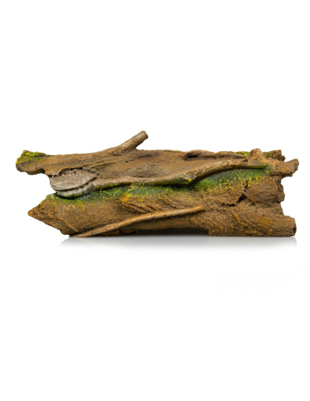 Souche 830 23,5 × 9 × 8,5 cm pour terrarium, décor naturel et cachette pour reptiles et amphibiens.