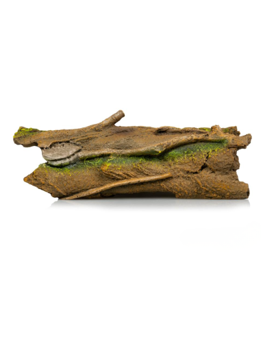 Souche 830 23,5 × 9 × 8,5 cm pour terrarium, décor naturel et cachette pour reptiles et amphibiens.