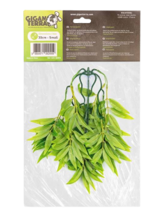 Plantes suspendues  - hauteur 30cm 255 - bambou 2