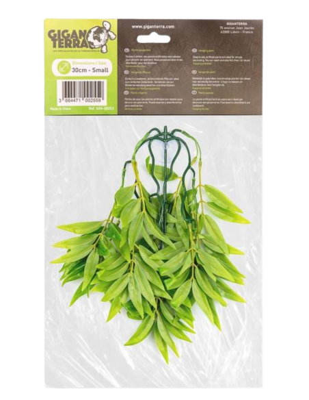 Plantes suspendues  - hauteur 30cm 255 - bambou