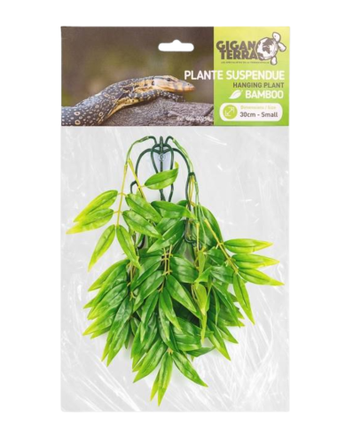 Plantes suspendues  - hauteur 30cm 255 - bambou