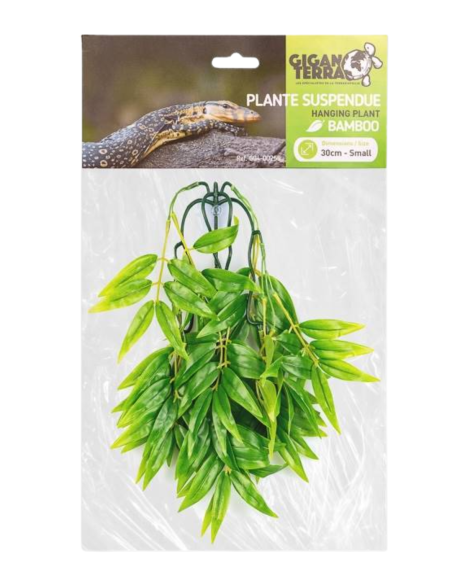 Plantes suspendues  - hauteur 30cm 255 - bambou