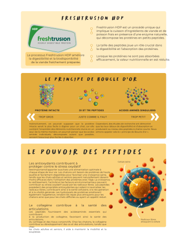 Croquettes vétérinaires Peptide+ tout stade de vie chat Vitalité Hypoallergénique - INSTINCTIV CROC