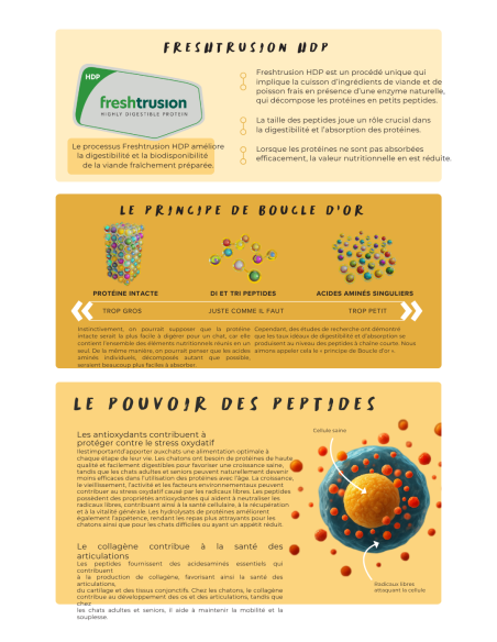 Croquettes vétérinaires Peptide+ tout stade de vie chat Vitalité Hypoallergénique - INSTINCTIV CROC