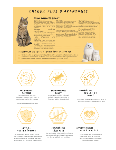 Croquettes vétérinaires Peptide+ tout stade de vie chat Vitalité Hypoallergénique - INSTINCTIV CROC