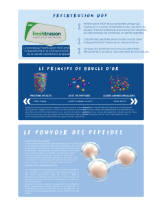 Croquettes vétérinaires  chat Peptide+ contrôle du poids et soins des articulations - INSTINCTIV CROC 2