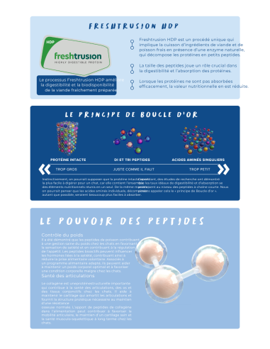 Croquettes vétérinaires  chat Peptide+ contrôle du poids et soins des articulations - INSTINCTIV CROC