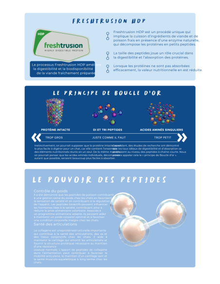 Croquettes vétérinaires  chat Peptide+ contrôle du poids et soins des articulations - INSTINCTIV CROC