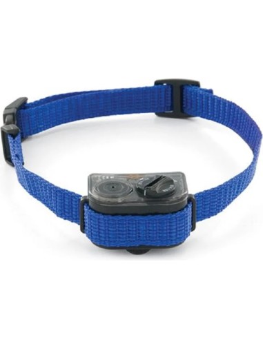 Collier anti-aboiement petit chien
