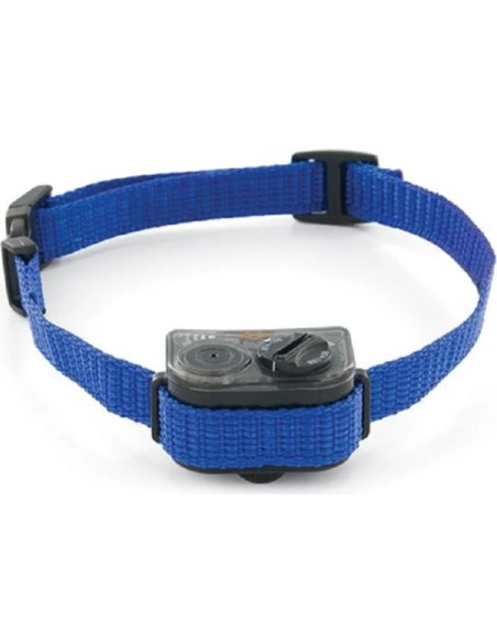 Collier anti-aboiement petit chien