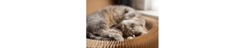 Repos