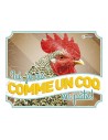 Alimentation et accessoires volailles