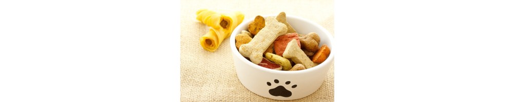 Friandises pour chiens