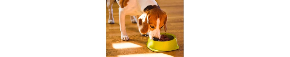 Alimentation humide / pâtées pour chiens