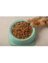 Alimentation sèche / croquettes pour chats