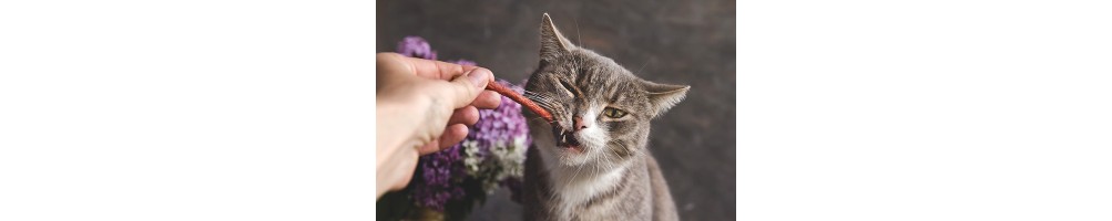 Friandises pour chats