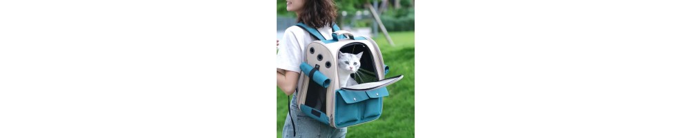 Transport