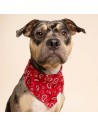 Bandanas