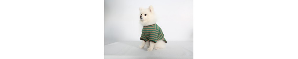 Vêtements
