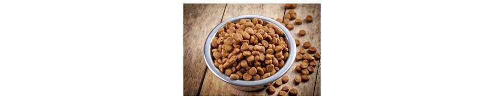 Alimentation pour chiens