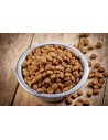 Alimentation pour chiens