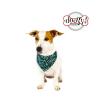 Collier bandana star vert pour chien