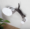Barreau d'escalade mural - Trixie - aire de jeu pour chats