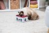 Jeu de reflexion PLATEAU ANTI-GLOUTON Rod Box Trixie - jeu pour chats