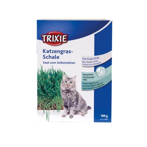 Graines pour herbe à chat 100grammes