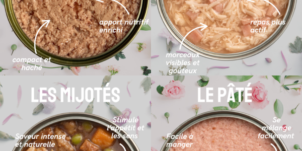 🍽️ Pâté, filets, mousse, mijotés : quelles différences pour chiens et chats ? 🐶🐱