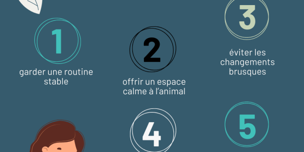 Produits apaisants et anti-stress naturels pour les animaux