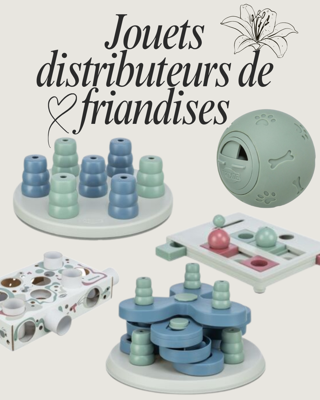 🐶🐱 Jeux d’occupation pour chiens et chats : stimuler l’esprit et le corps