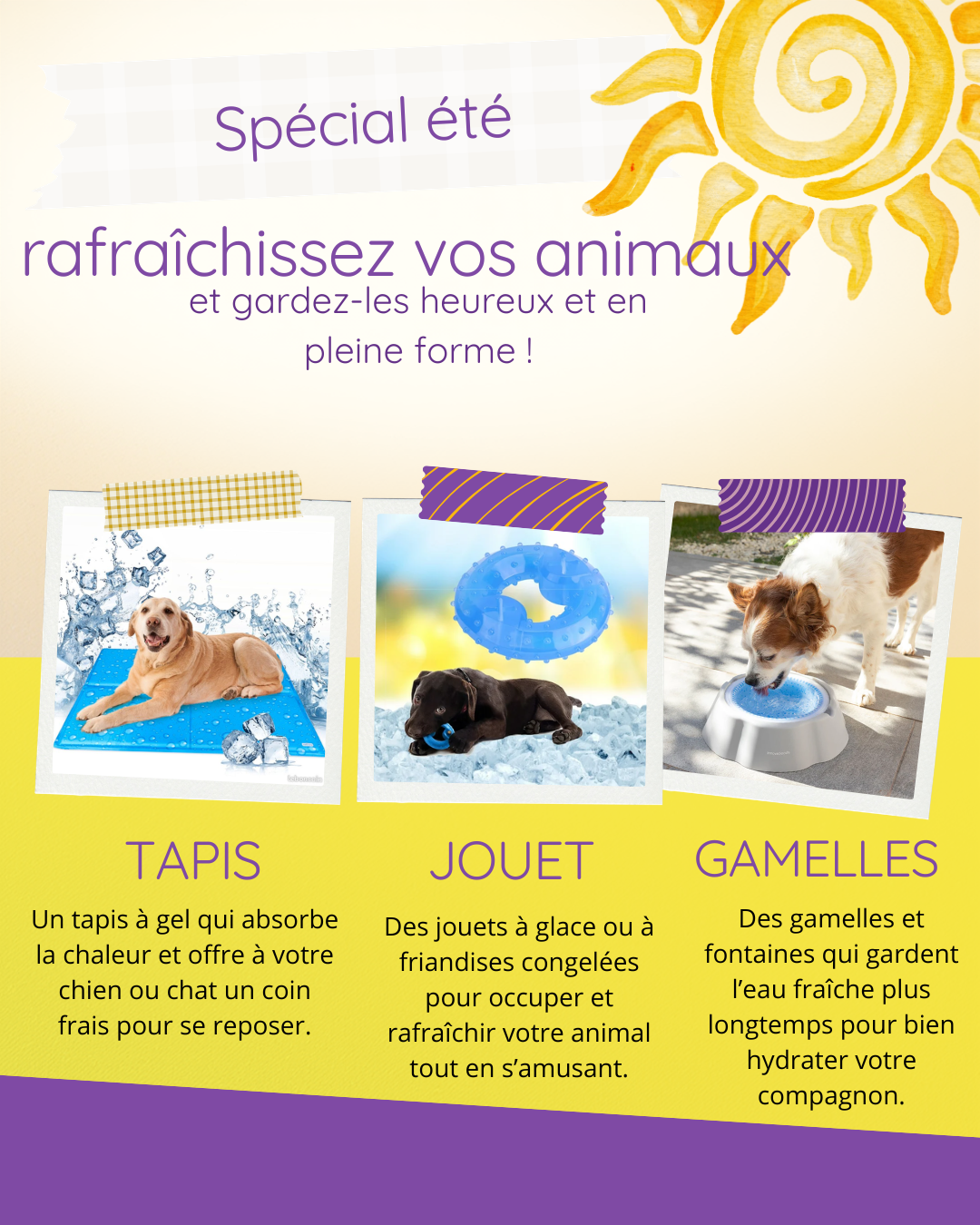 ❄️ Jouets, tapis et gamelles rafraîchissantes : comment aider votre animal en été 🐶🐱