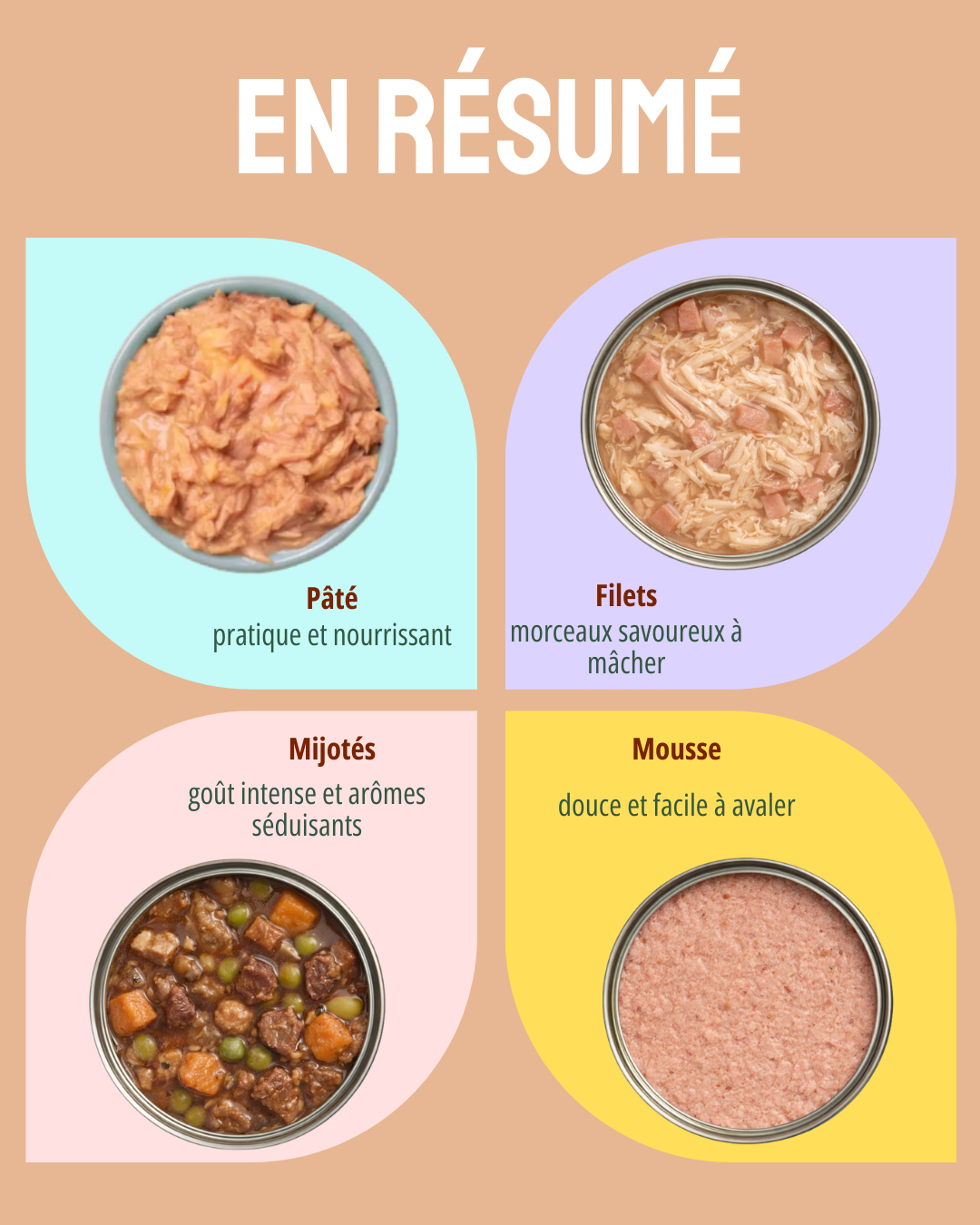🍽️ Pâté, filets, mousse, mijotés : quelles différences pour chiens et chats ? 🐶🐱