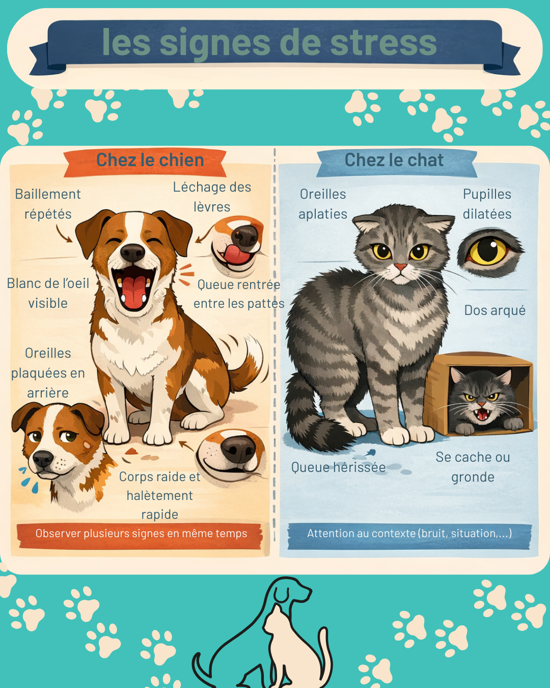 Produits apaisants et anti-stress naturels pour les animaux