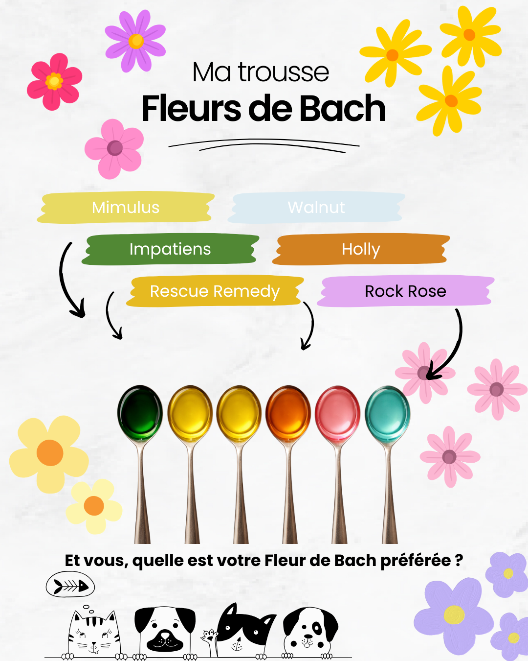 Fleurs de Bach pour chiens et chats : comment les utiliser ?